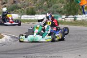 20110501_ales_agnus (3417)